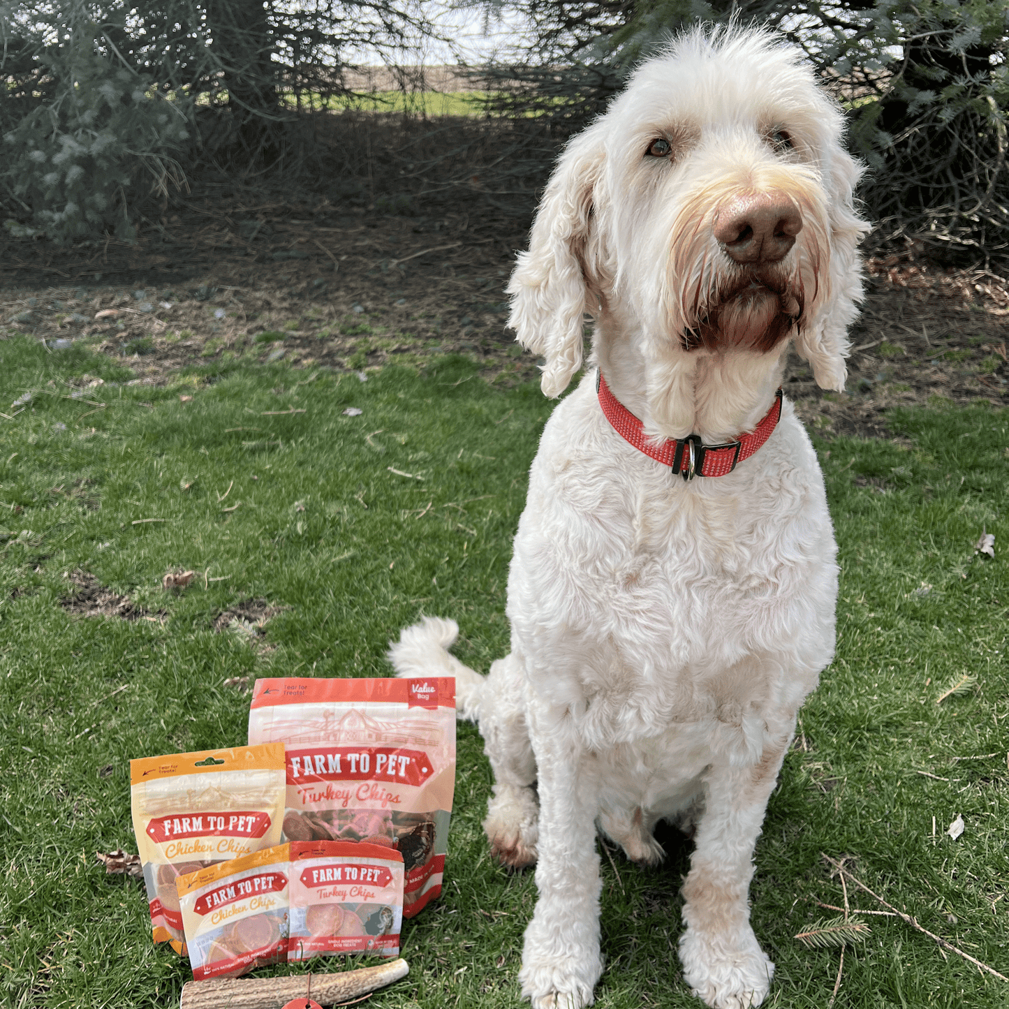 Farm to Pet E-Gift Card Farm To Pet