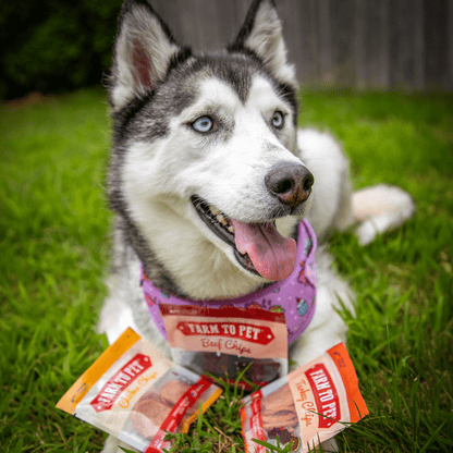 Snack Pack Dog Treat Sampler Farm To Pet
