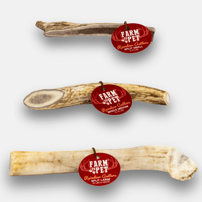 Reindeer Antler Dog Chews | Organic Chews for Dogs Farm To Pet