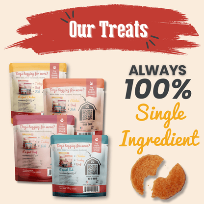 Snack Pack Dog Treat Sampler Farm To Pet