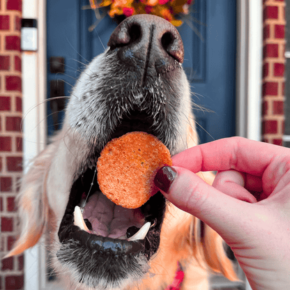 Turkey Feast Chips Farm To Pet
