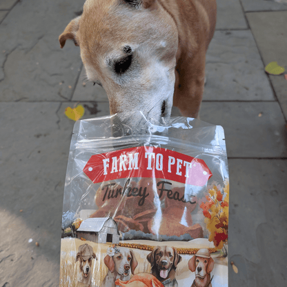 Turkey Feast Chips Farm To Pet