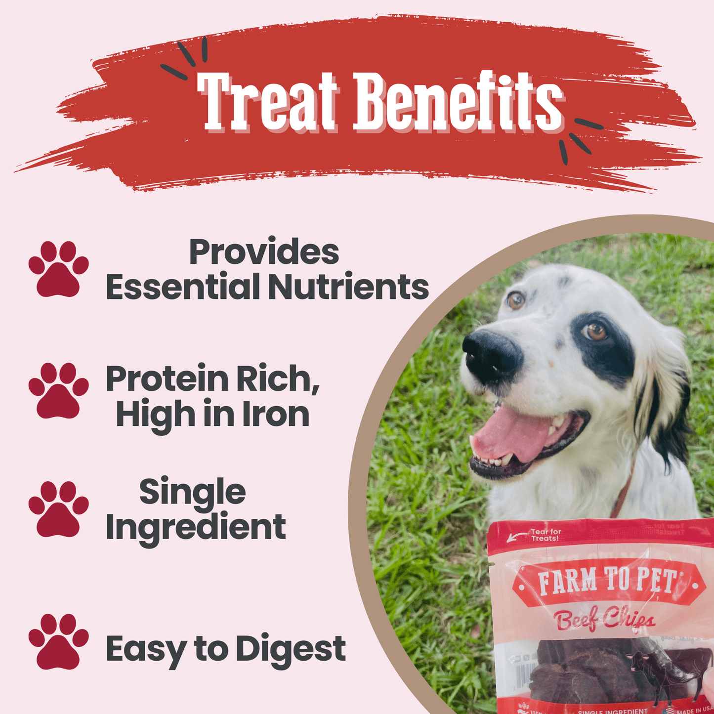 Beef Chips Snack Pack Bundles | Dog Treats for Training & Travel Farm To Pet