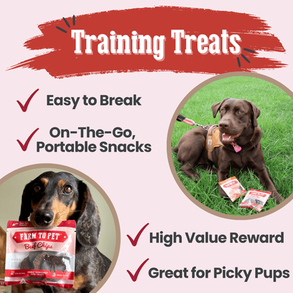 Beef Chips Snack Pack Bundles | Dog Treats for Training & Travel Farm To Pet