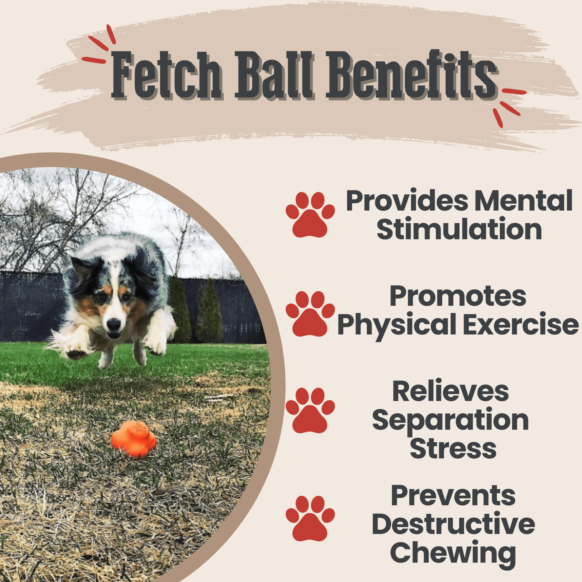 Dog Fetch Balls Farm To Pet