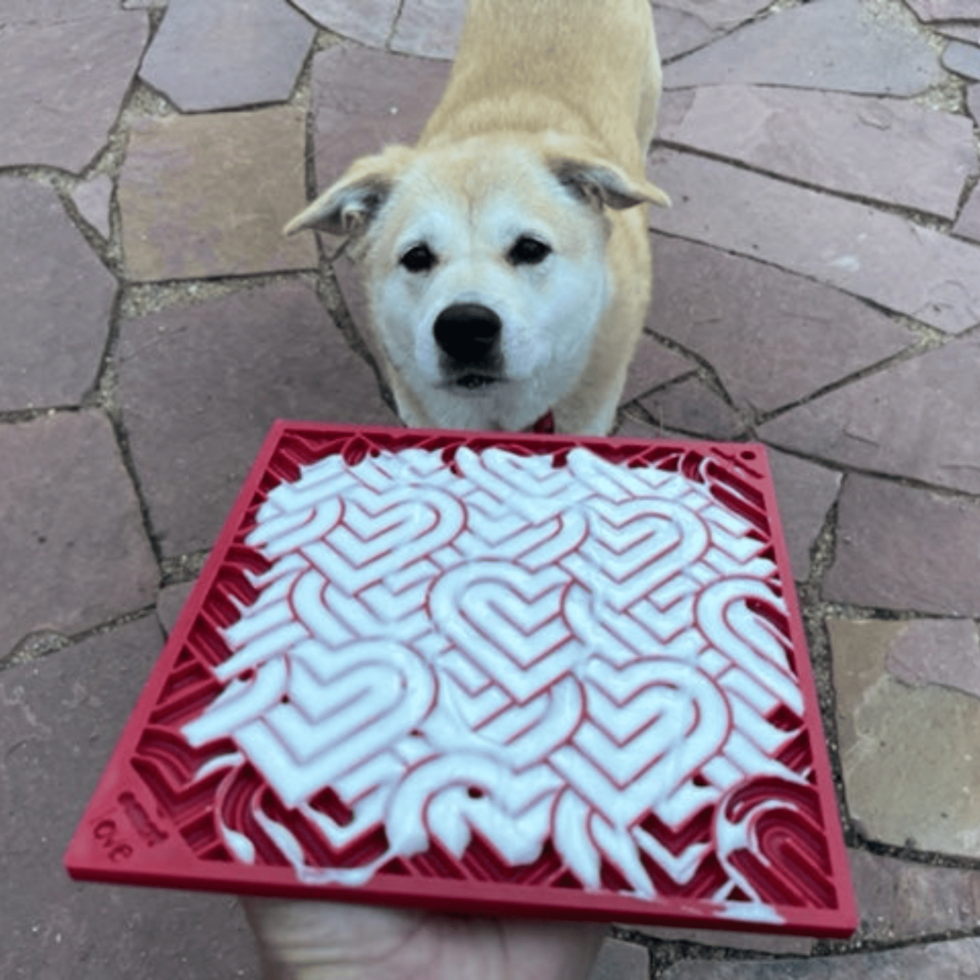 Dog Lick Mats Farm To Pet