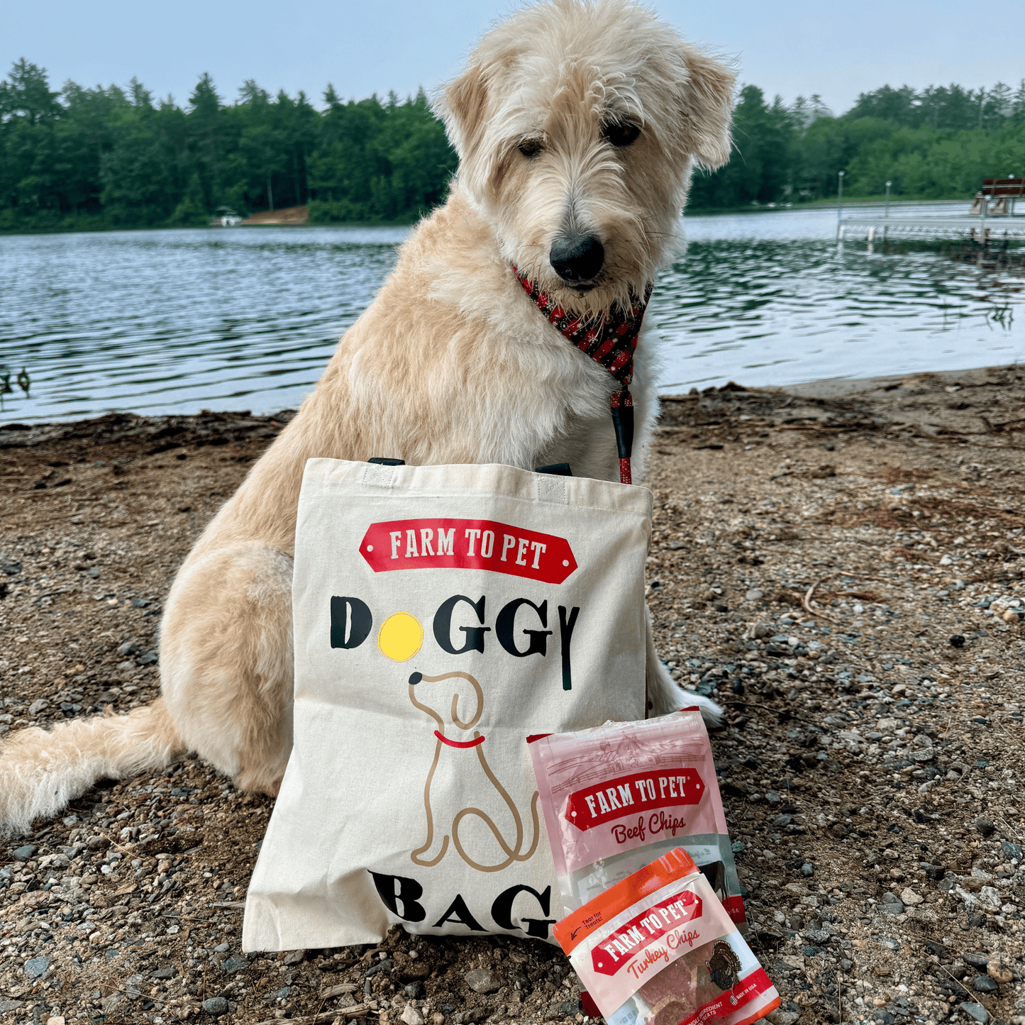 Farm To Pet Tote Bag | Paw-some Gift for Animal Lovers Farm To Pet