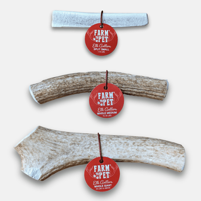 Elk Antler Dog Chews | All-Natural Whole and Split Elk Antler Chews for Dogs Farm To Pet