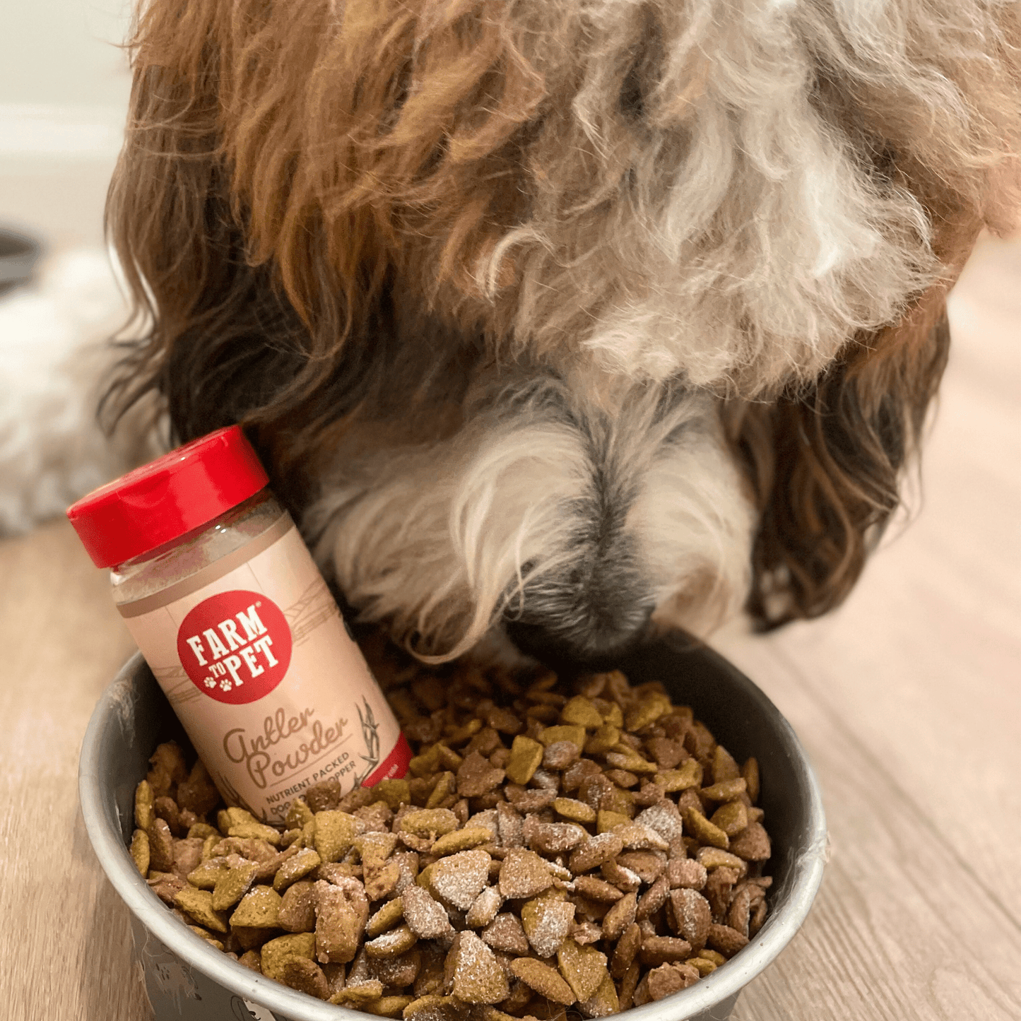 Treat Topper Antler Powder Dog Food Topper | Nutritional Supplement for Dogs and Cats Farm To Pet