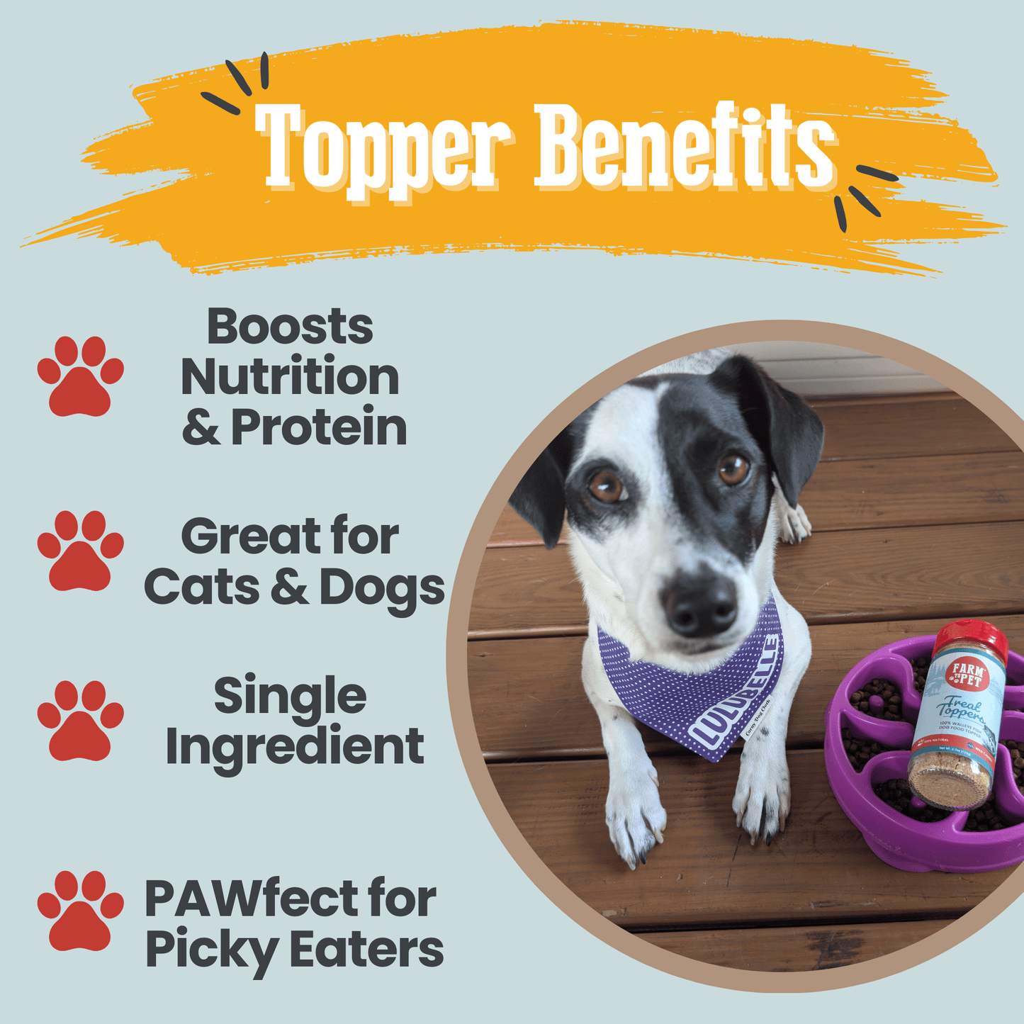 Treat Topper Fish Dog Food Topper | Low-Fat Meal Topper for Pets Farm To Pet