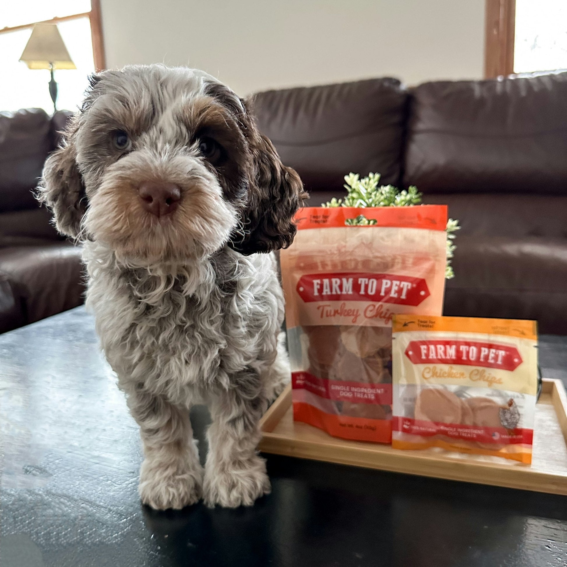 Farm to Pet E-Gift Card Farm To Pet