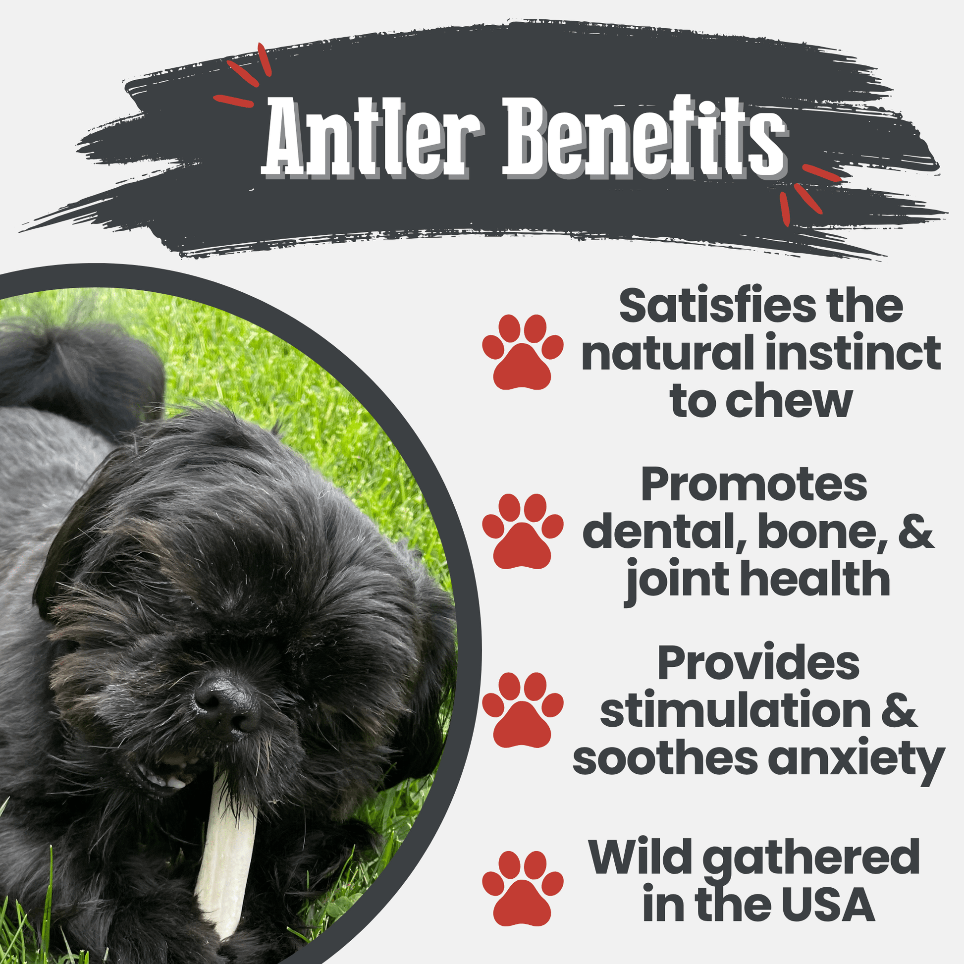 Reindeer Antler Dog Chews | Organic Chews for Dogs Farm To Pet