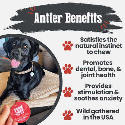 Reindeer Antler Dog Chews | Organic Chews for Dogs Farm To Pet
