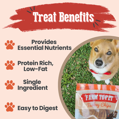 Turkey Chips Snack Pack Bundles | Low Allergen Treats for Training Farm To Pet