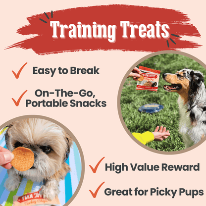 Turkey Chips Snack Pack Bundles | Low Allergen Treats for Training Farm To Pet