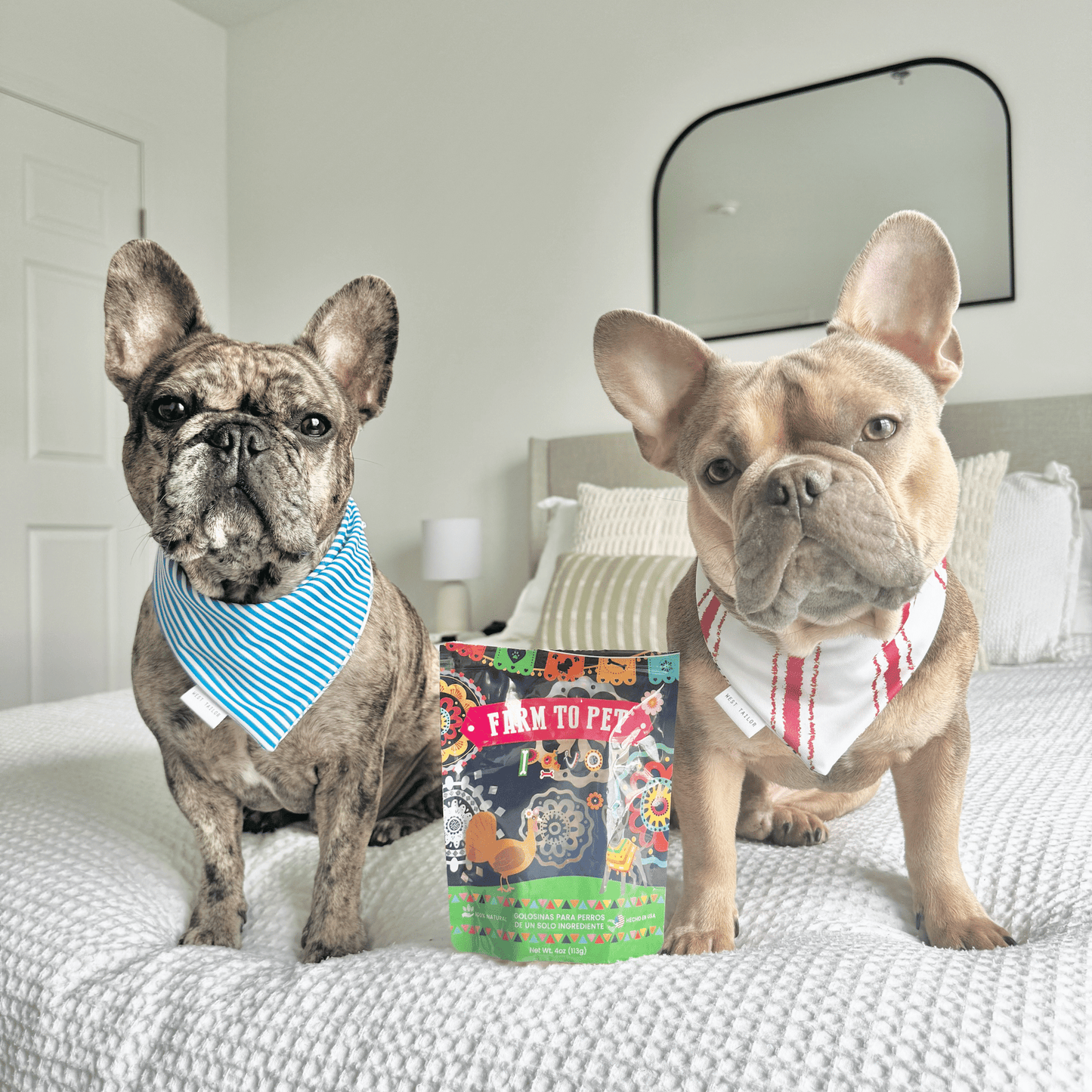 Premios Para Perros Fiesta Pack | Dog Treat Variety Bundle Farm To Pet