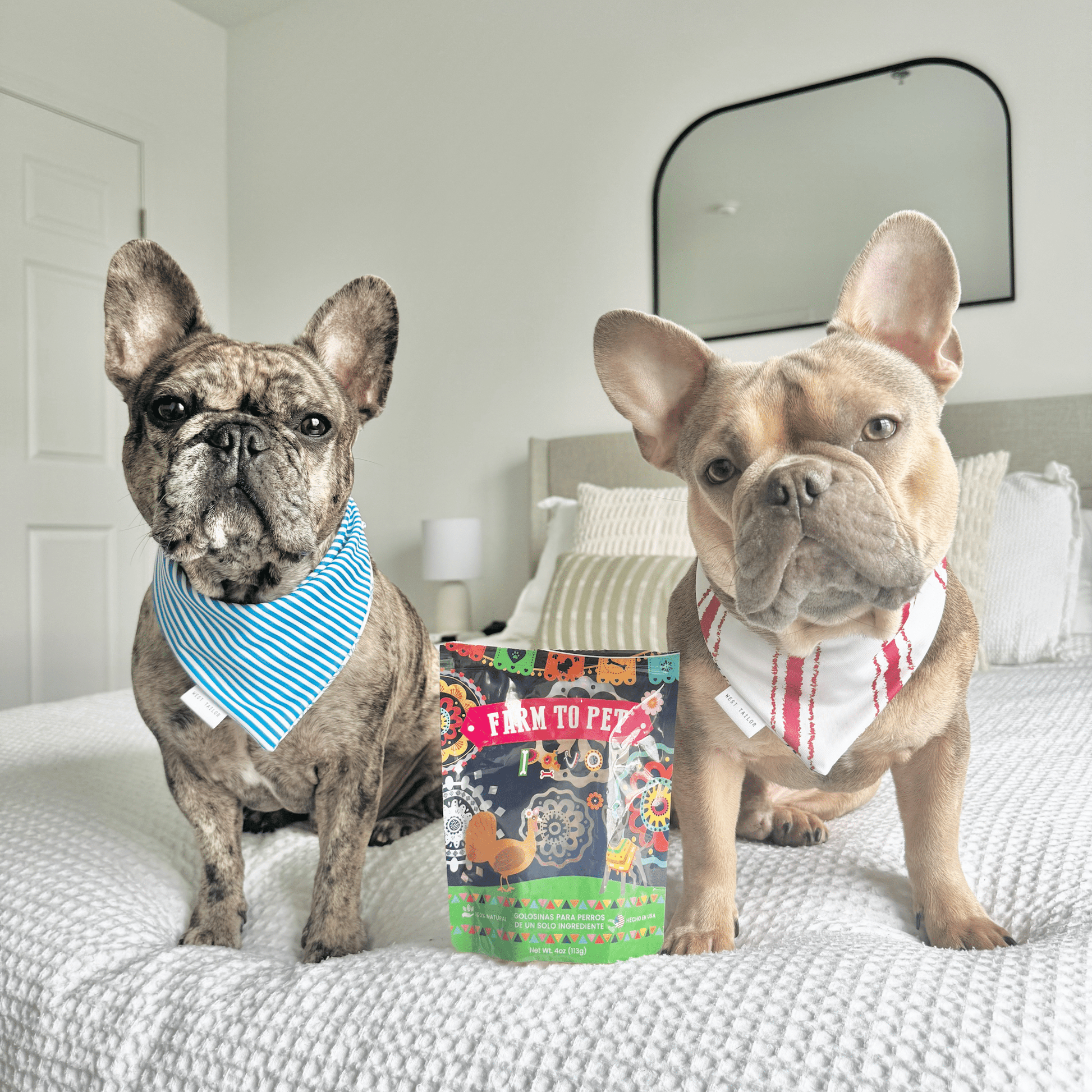 Premios Para Perros Fiesta Pack | Dog Treat Variety Bundle Farm To Pet