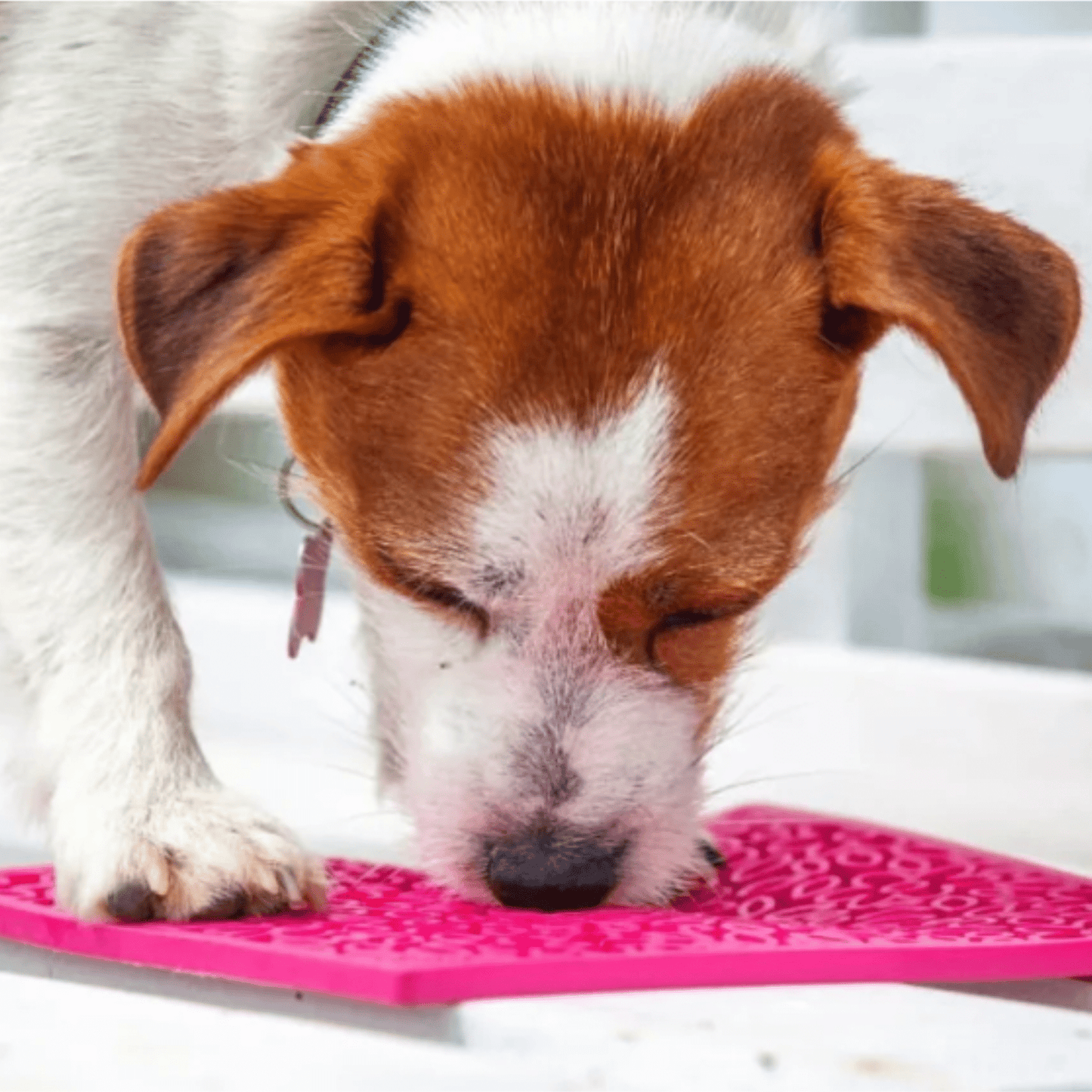 Lick Mats for Cats and Small Dogs Farm To Pet