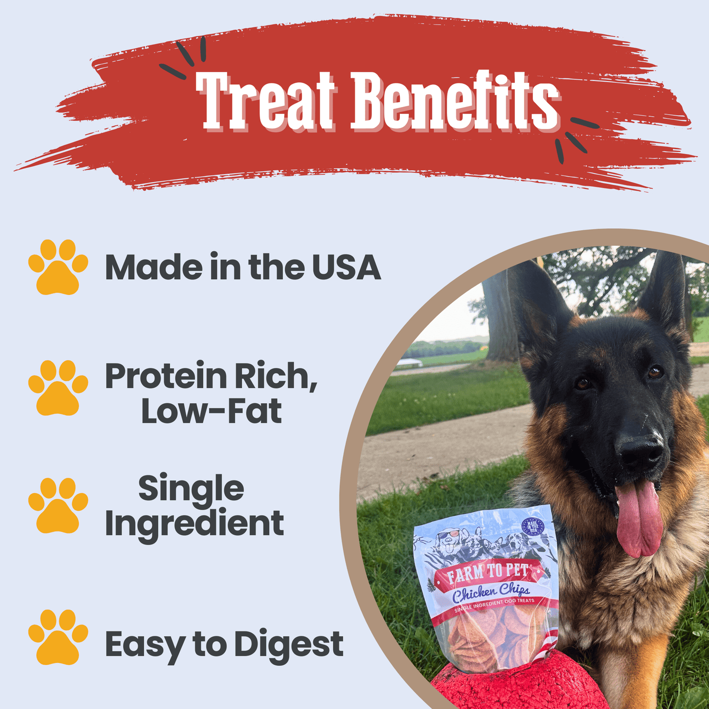 Americana Chicken Chips for Dogs | Celebrate with USA-made Dog Treats Farm To Pet
