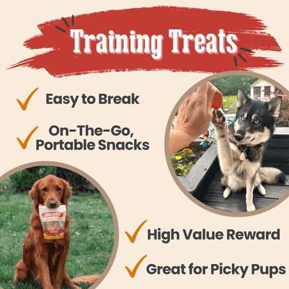 Turkey & Chicken Chip Dog Treat Duo | Single-Ingredient Poultry Treats for Dogs Farm To Pet