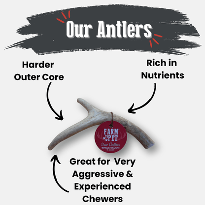 Deer Antler Dog Chews | Organic Chews for Dogs Farm To Pet