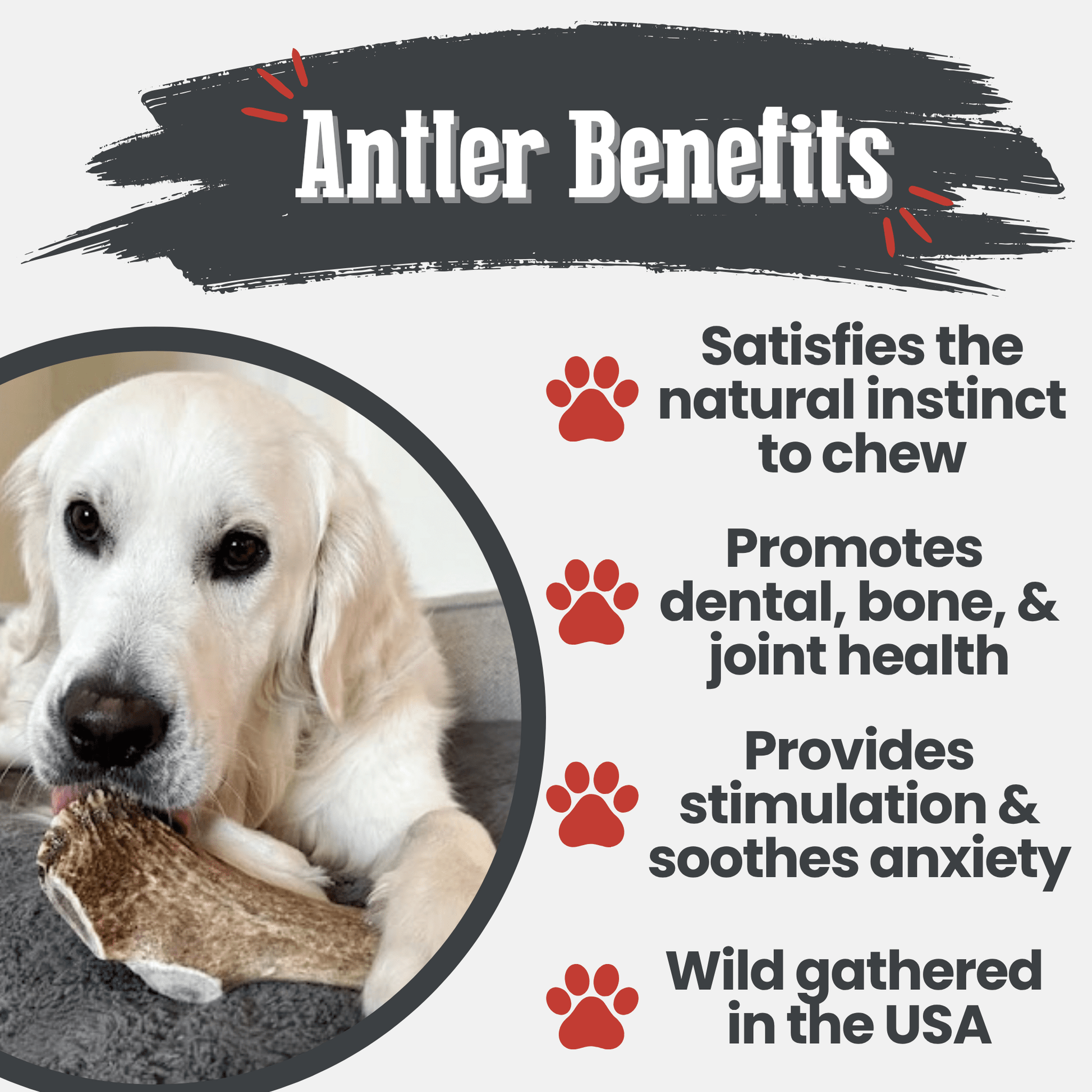 Elk Antler Dog Chews | All-Natural Whole and Split Elk Antler Chews for Dogs Farm To Pet