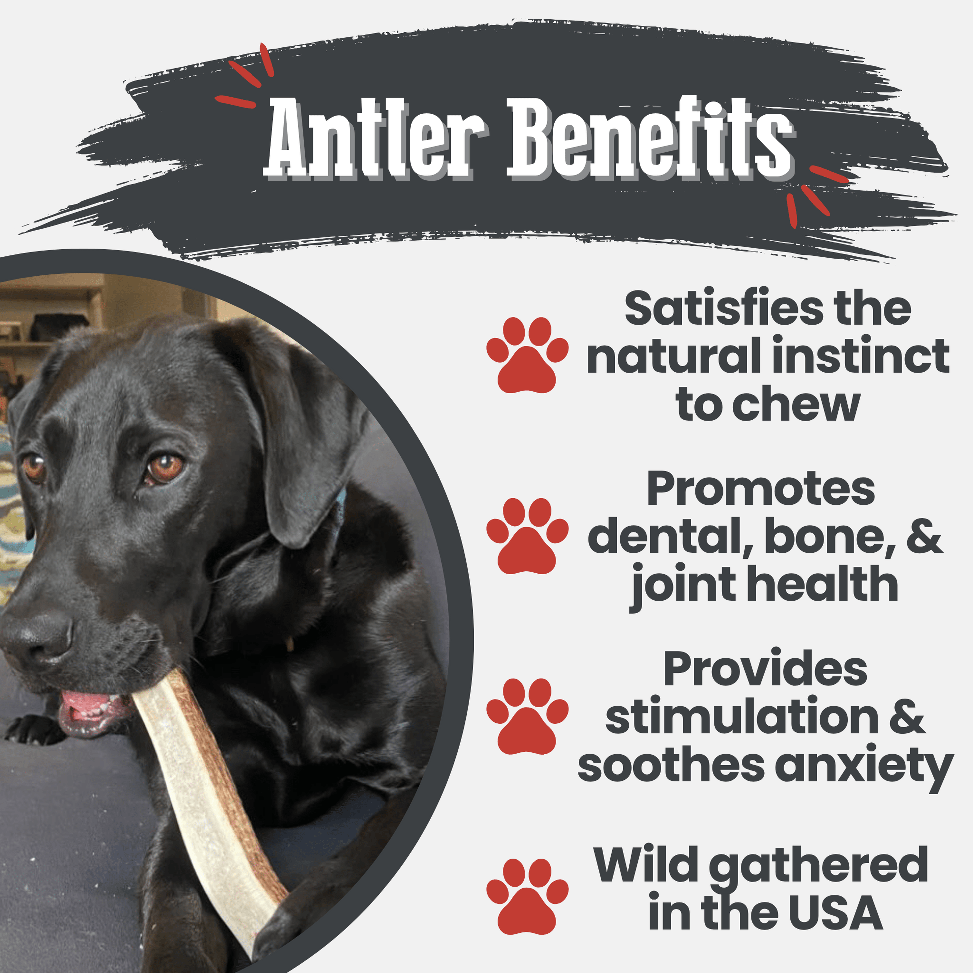 Elk Antler Dog Chews | All-Natural Whole and Split Elk Antler Chews for Dogs Farm To Pet