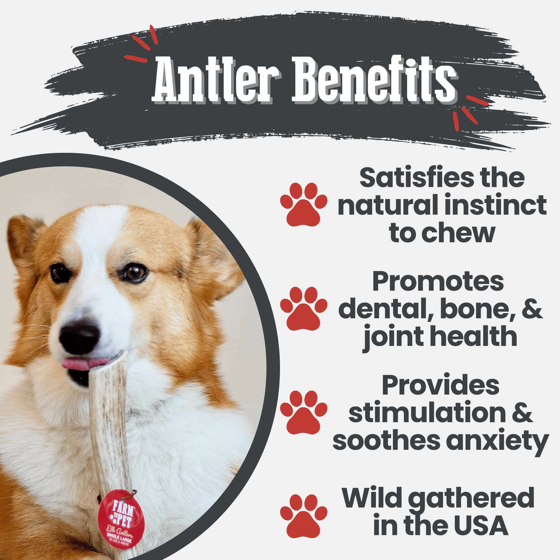 Elk Antler Dog Chews | All-Natural Whole and Split Elk Antler Chews for Dogs Farm To Pet