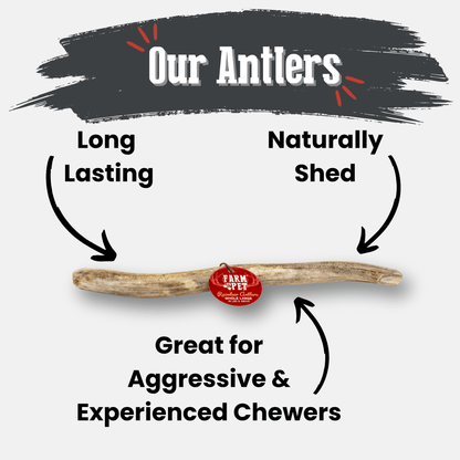 Reindeer Antler Dog Chews | Organic Chews for Dogs Farm To Pet