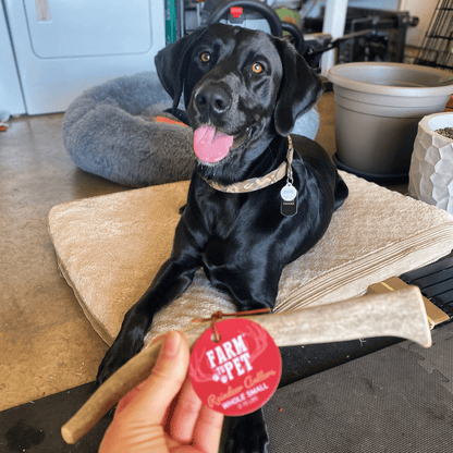 Reindeer Antler Dog Chews | Organic Chews for Dogs Farm To Pet