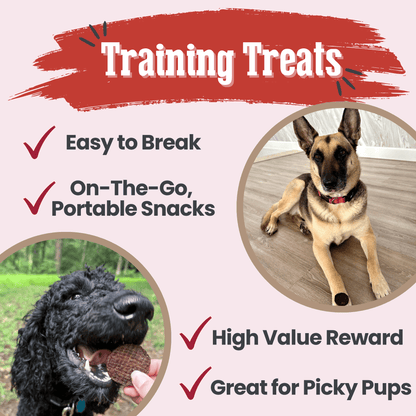 Beef Chips Dog Treats | Single-Ingredient Healthy Treats for Dogs Farm To Pet