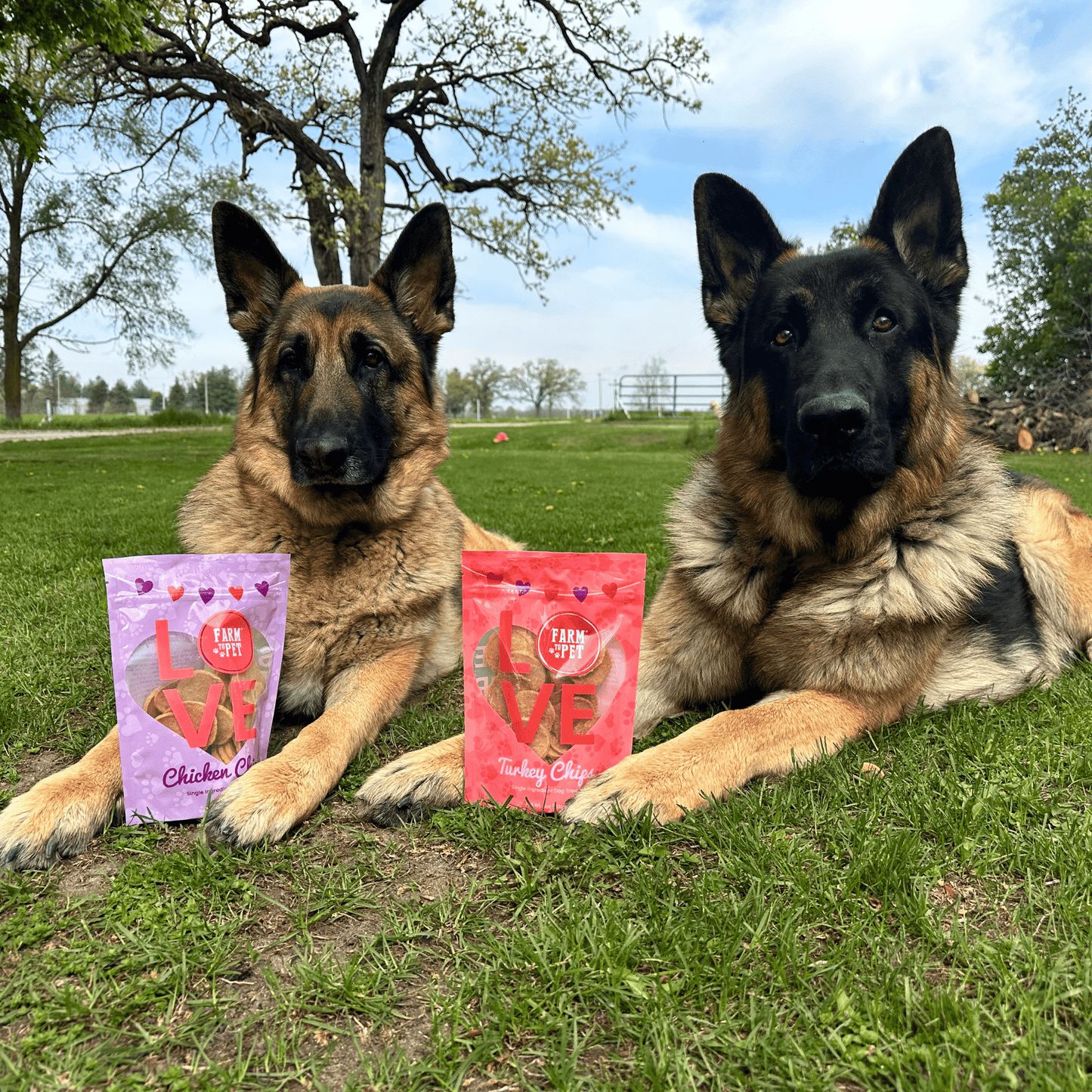 Puppy Love Dog Treat Duo | Poultry Chip Variety Pack Farm To Pet