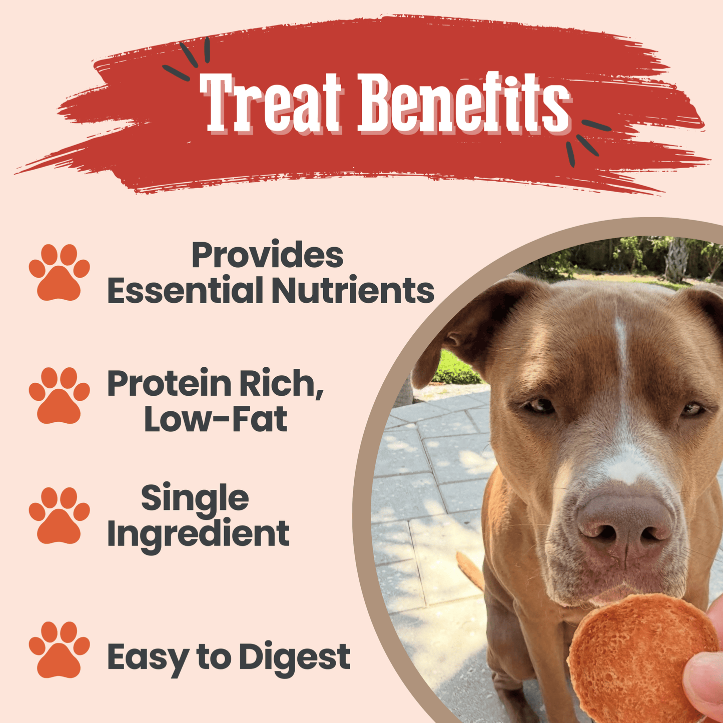 Turkey Chips for Dogs | All-Natural Single-Ingredient Healthy Dog Treats Farm To Pet