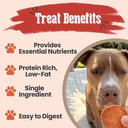 Turkey Chips for Dogs | All-Natural Single-Ingredient Healthy Dog Treats Farm To Pet