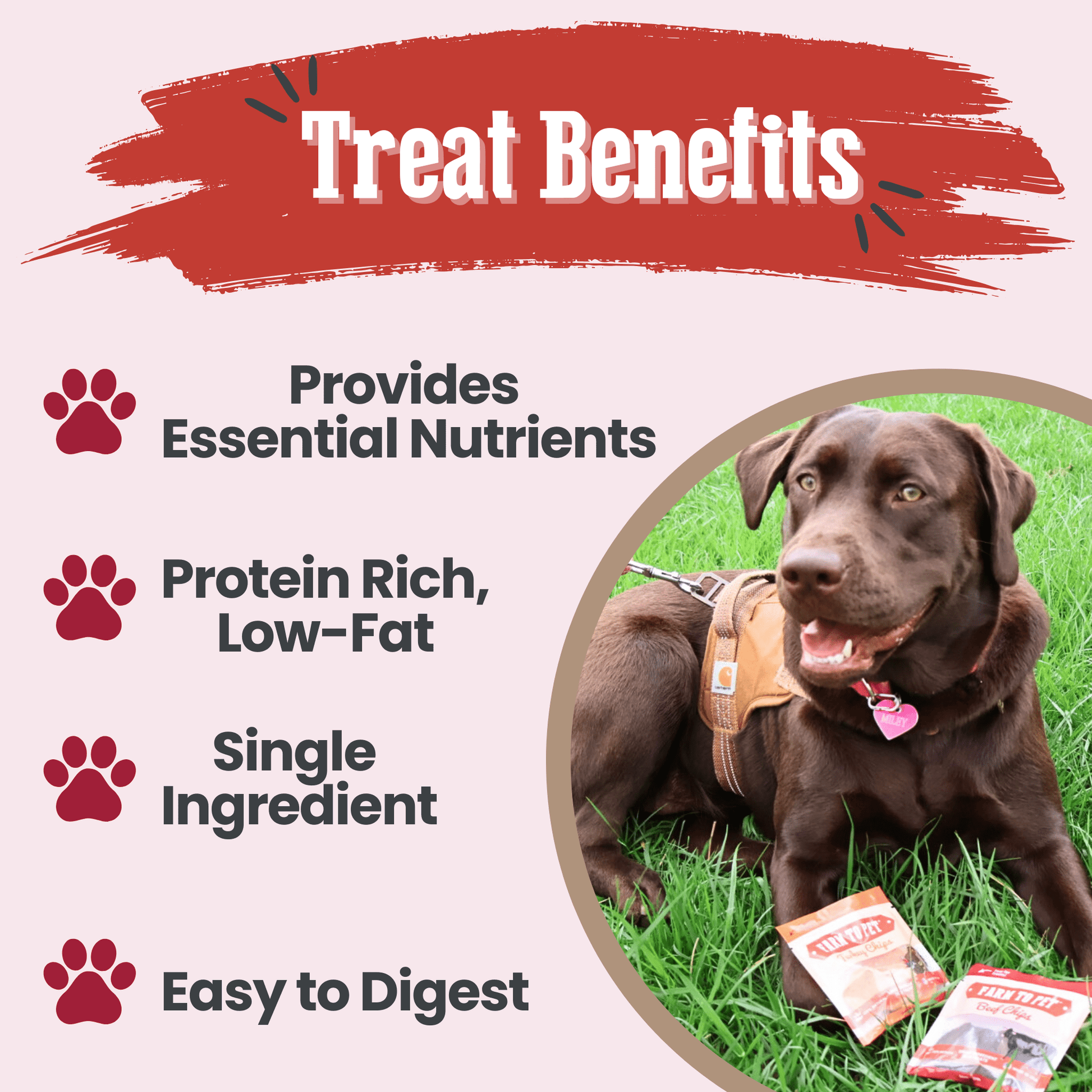 Puppy Packs 'n Snacks Dog Treat Starter Pack | Single-Ingredient Training Treats Farm To Pet
