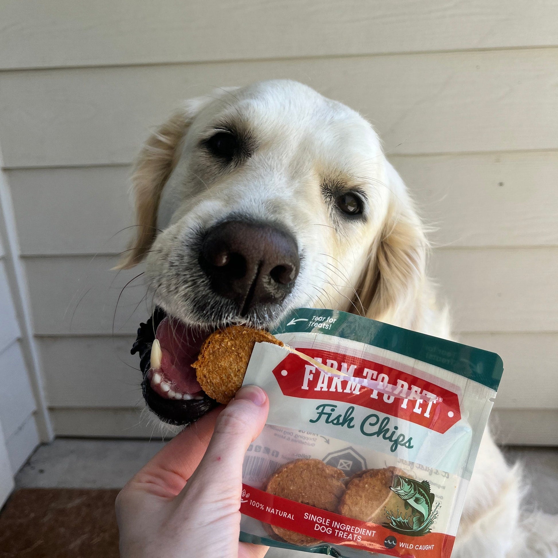 Snack Pack Dog Treat Sampler Farm To Pet
