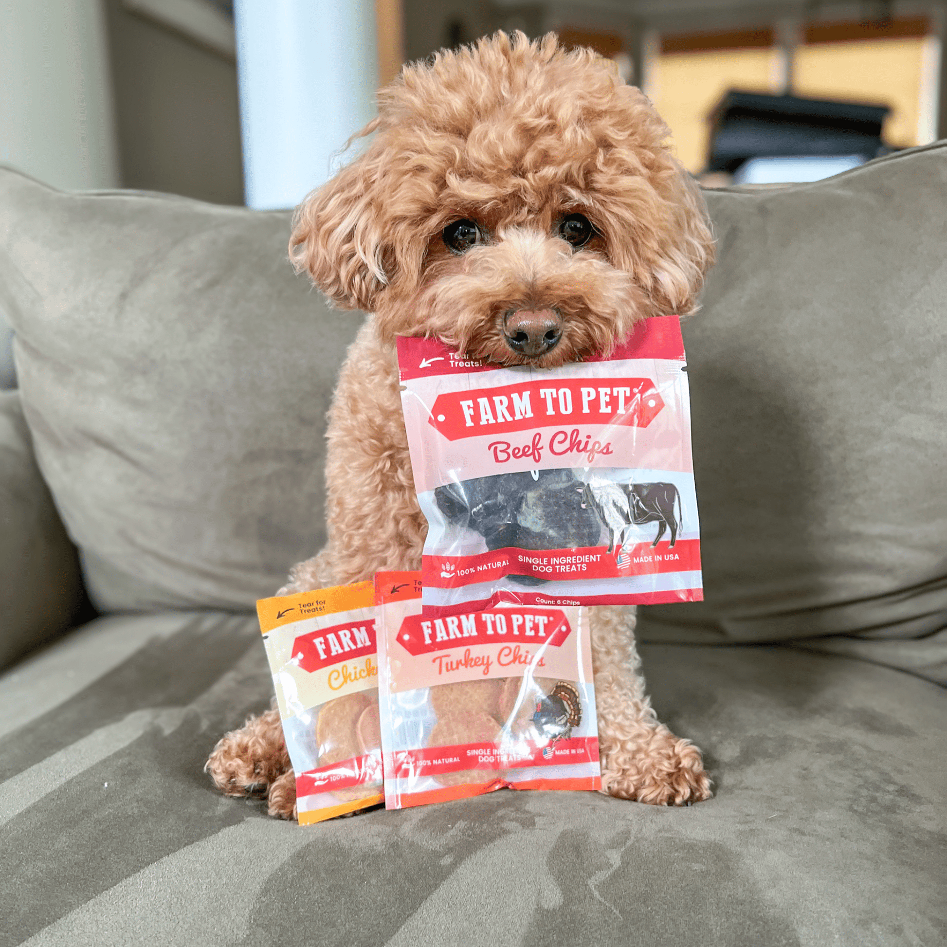 Snack Pack Dog Treat Sampler Farm To Pet