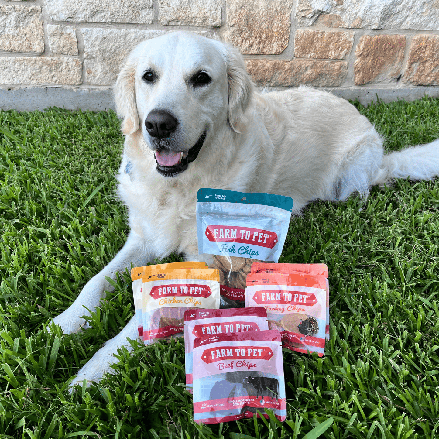 Puppy Packs 'n Snacks Dog Treat Starter Pack | Single-Ingredient Training Treats Farm To Pet