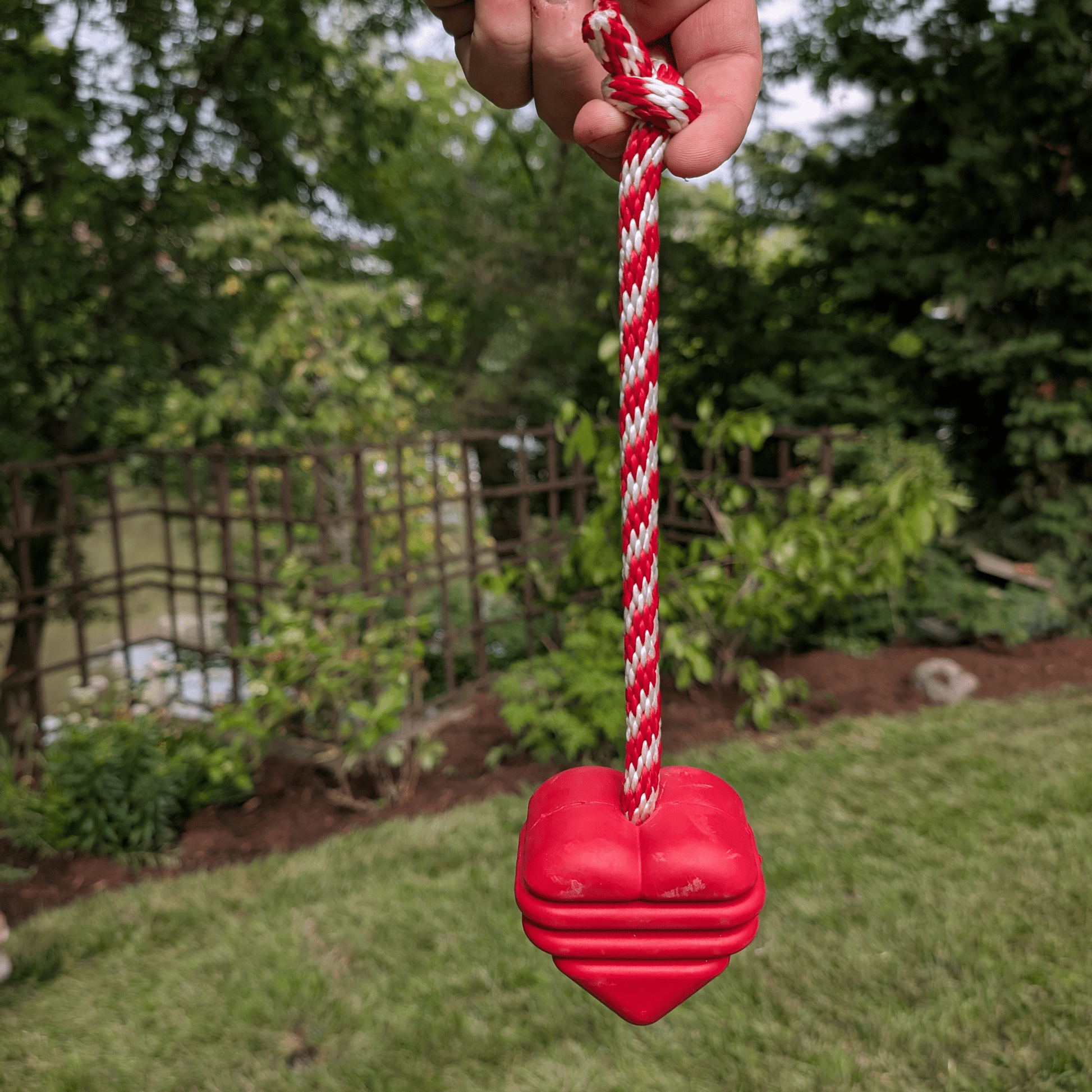 Chew Toys Farm To Pet
