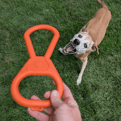 Chew Toys Farm To Pet