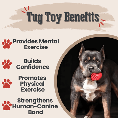 Chew Toys Farm To Pet