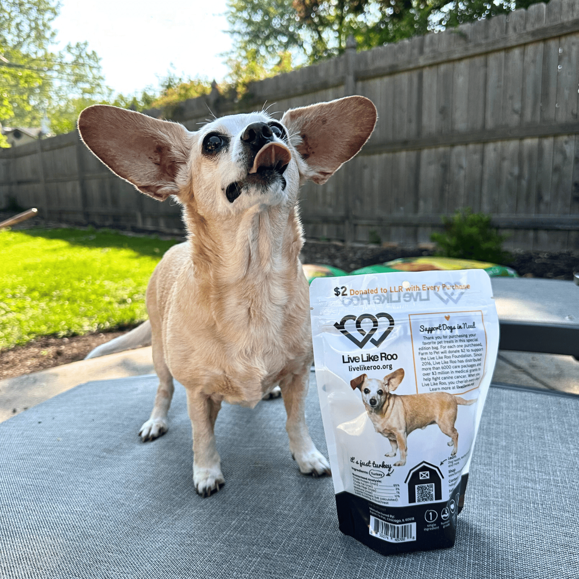 Live Like Roo Turkey Chips for Dogs | Dog Treats That Give Back Farm To Pet