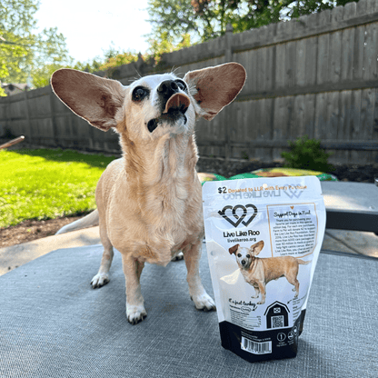 Live Like Roo Turkey Chips for Dogs | Dog Treats That Give Back Farm To Pet