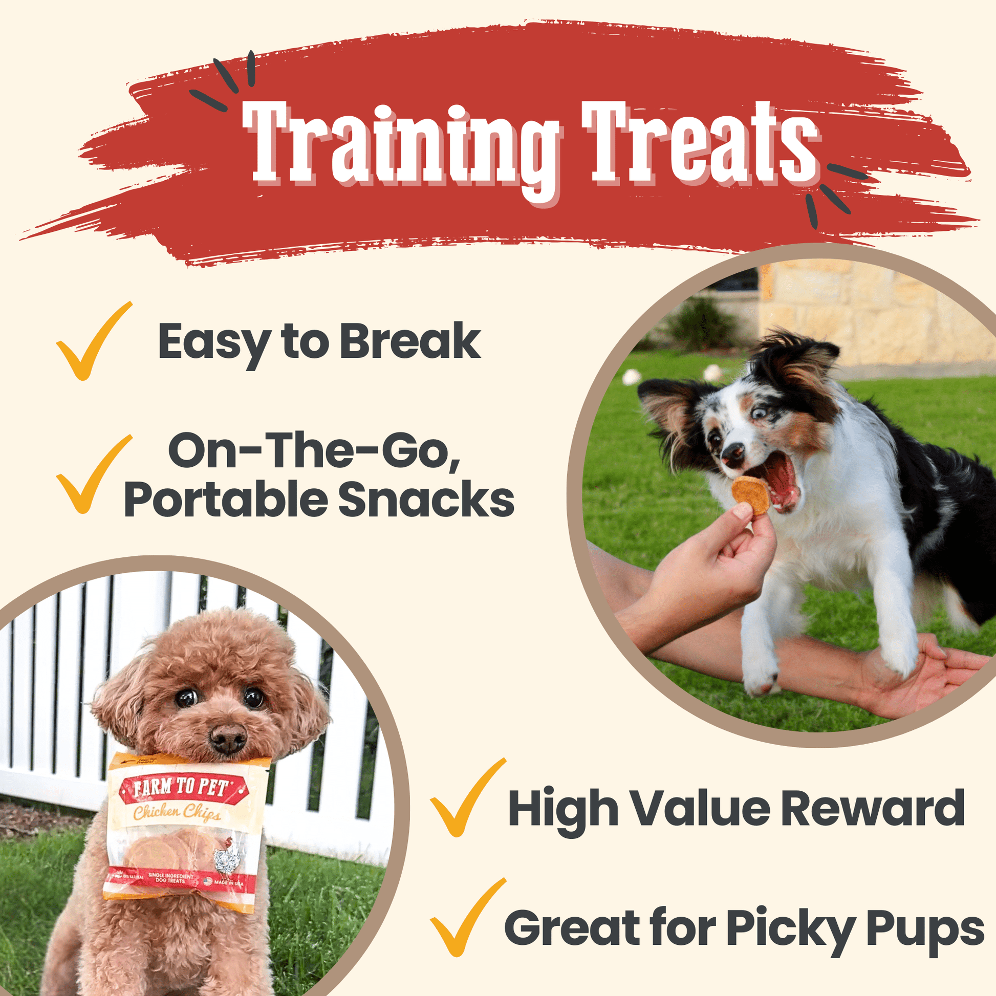 Chicken Chips Snack Pack Bundles | Dog Party Favors & Training Treats Farm To Pet
