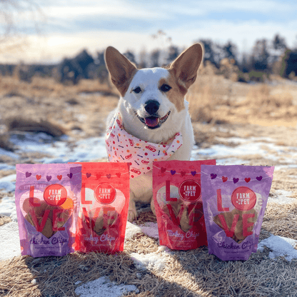 Puppy Love Dog Treat Duo | Poultry Chip Variety Pack Farm To Pet