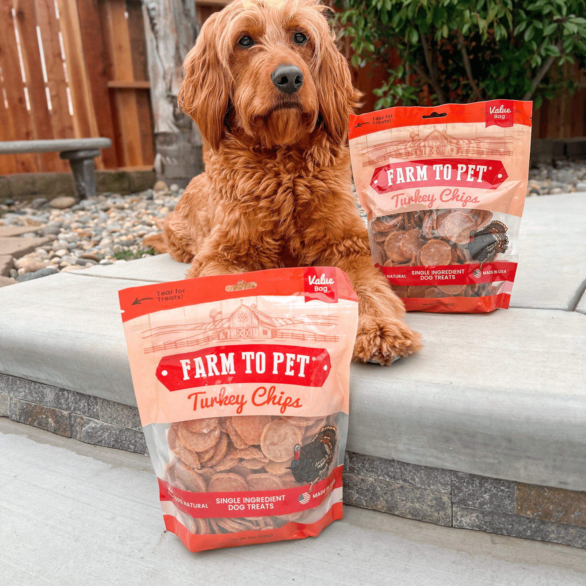 Turkey Chips for Dogs | All-Natural Single-Ingredient Healthy Dog Treats Farm To Pet