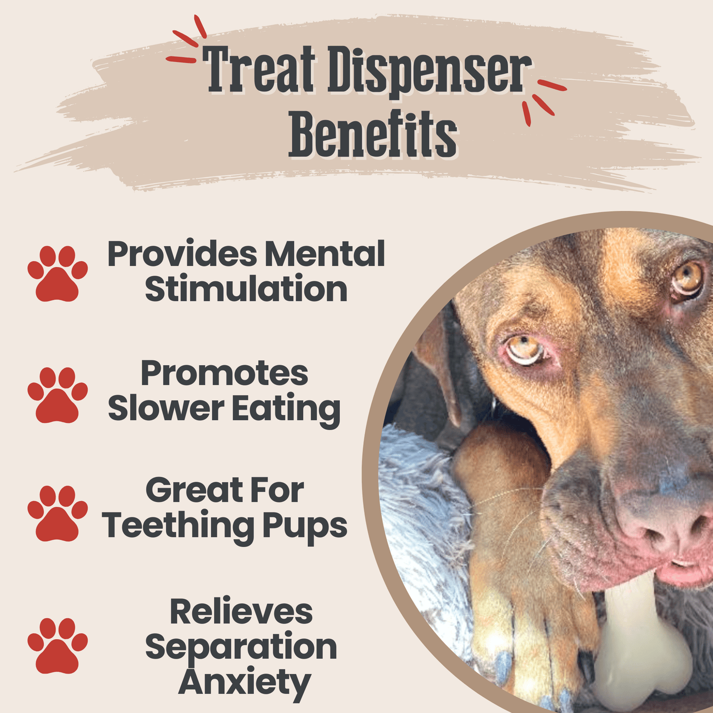 Dog Treat Dispensers Farm To Pet