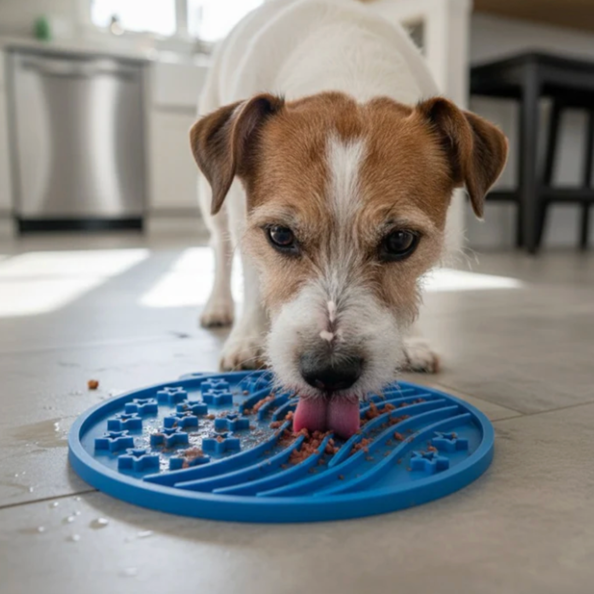 Dog Lick Mats with Suction Cups Farm To Pet