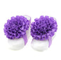 Baby Floral Headband and Foot Accessories Set