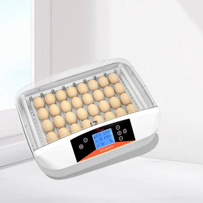 HHD High Hatching Rate Fully Automatic Quail Chicks  Incubator for Hatching Eggs Machine   G32A NovaCart
